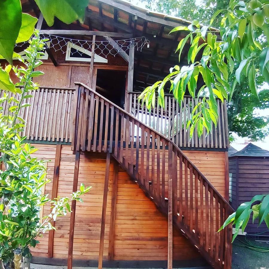 Mini House Park Campo Alegre (Santa Catarina) Exterior foto