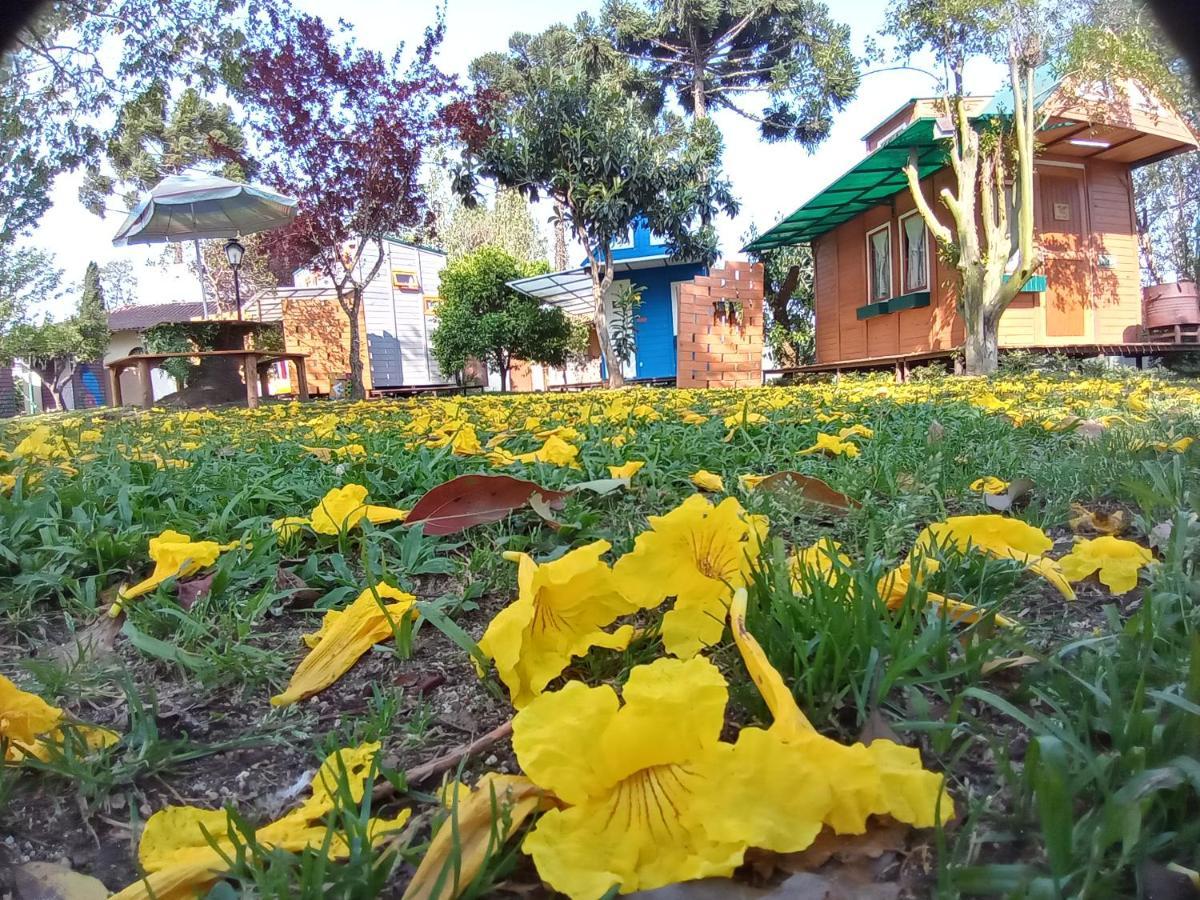 Mini House Park Campo Alegre (Santa Catarina) Exterior foto
