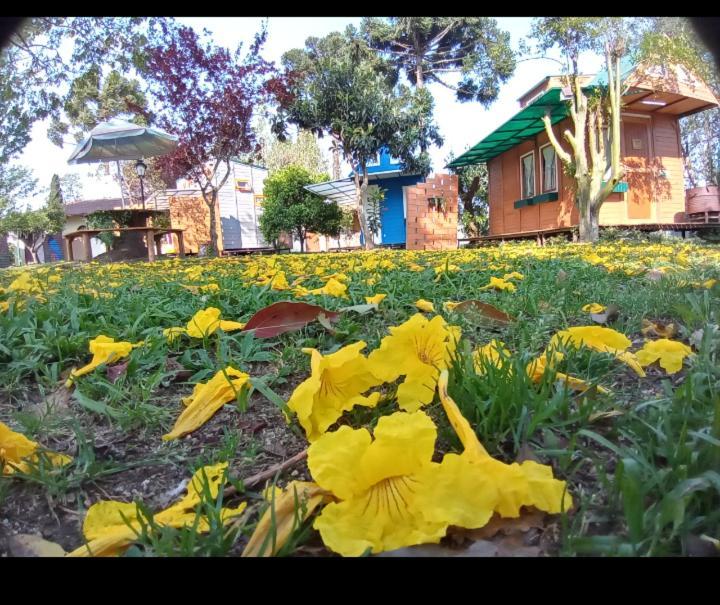 Mini House Park Campo Alegre (Santa Catarina) Exterior foto